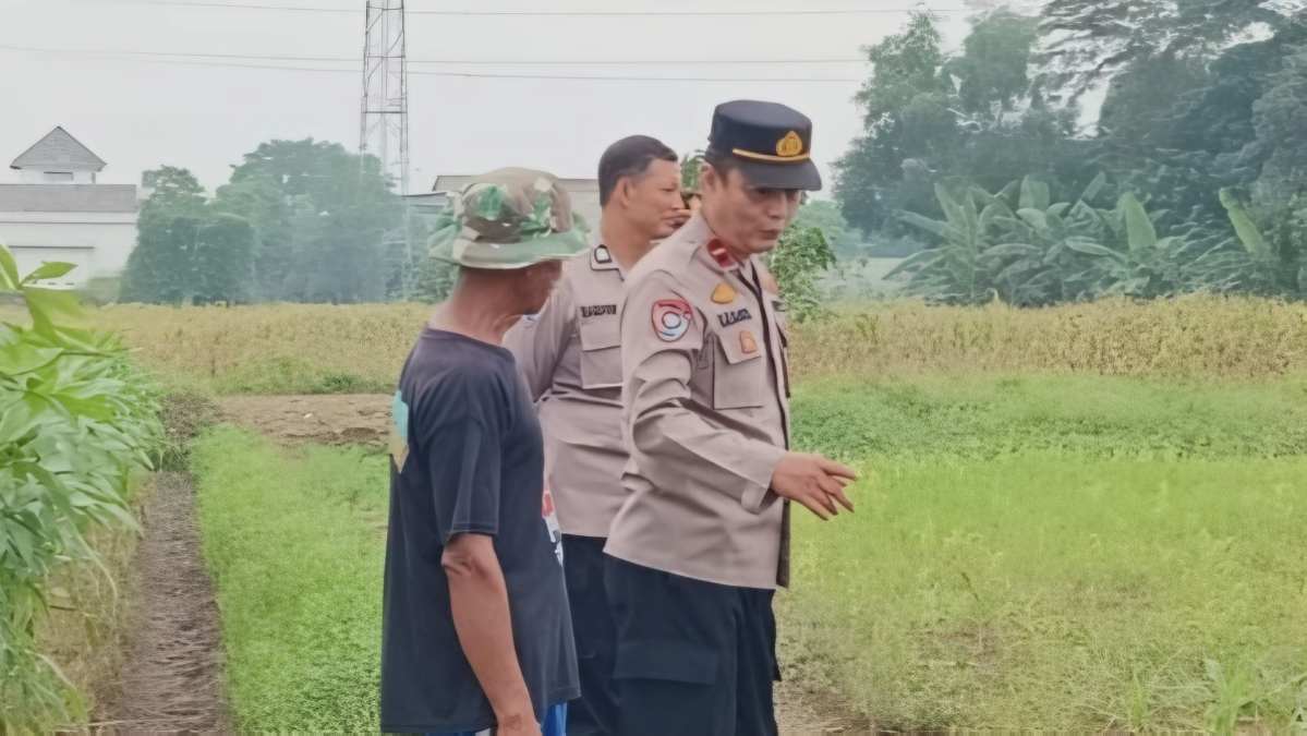 Polsek Bantargebang Pantau Tanaman Jagung di Lahan PT Timah