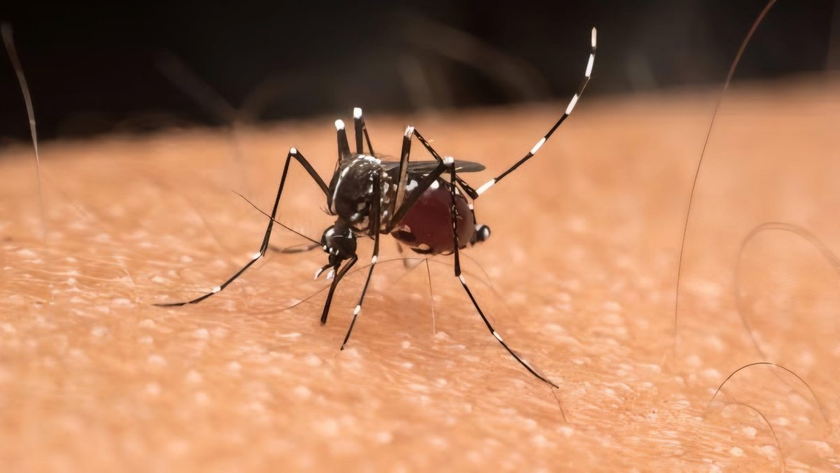 Cuaca Ekstrem, Kasus DBD di Bekasi Melonjak Sepanjang 2024